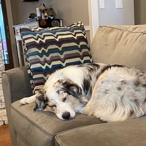 Meet your Posher, Christopher